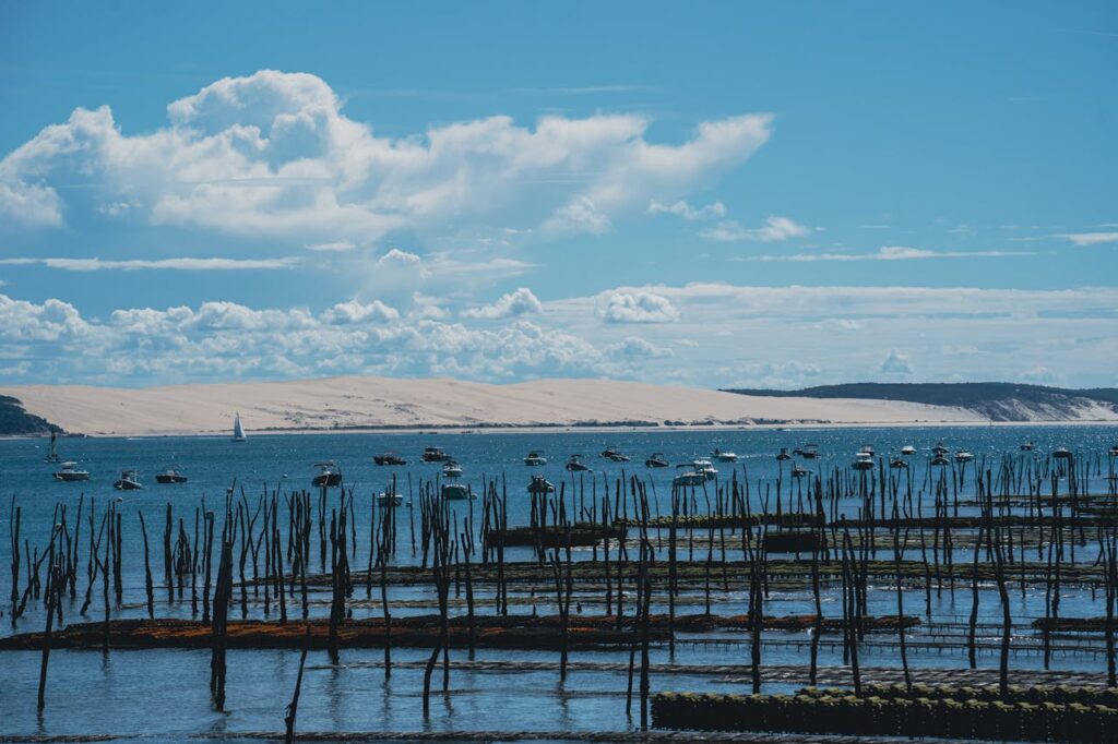 Serene landscape of oyster farms and boats in Arcachon Bay, France under a clear blue sky.